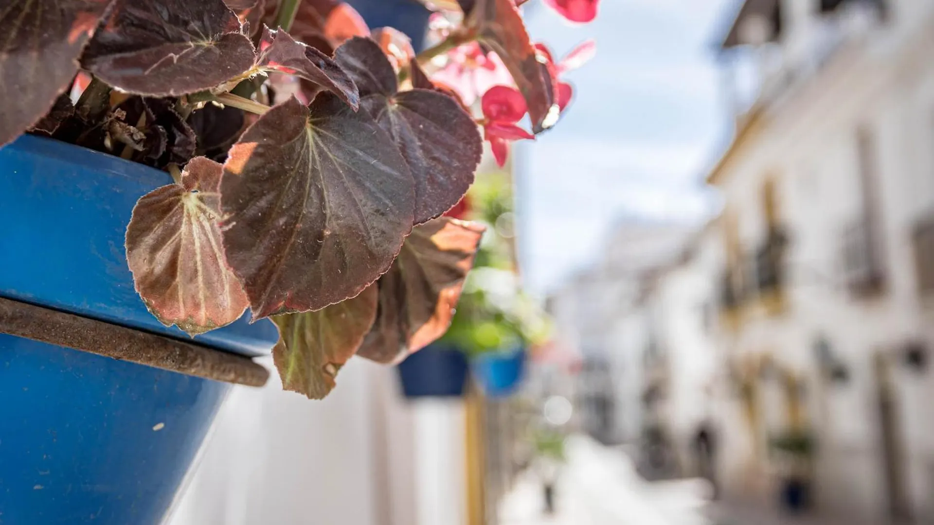 Apartment Seaclub Suites Estepona